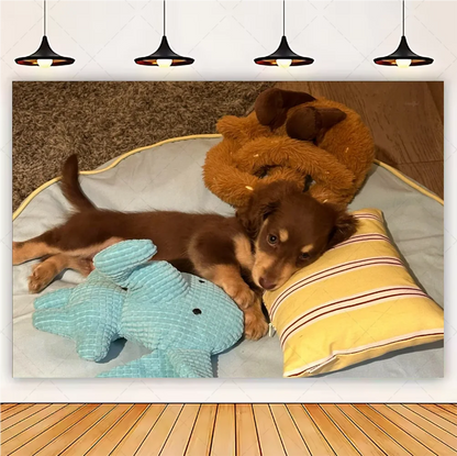 Cute Dachshund Theme Birthday Party Decorations Lovely Puppy Backdrop Cake Insert Banner Balloon Baby Shower Supplies Child Gift