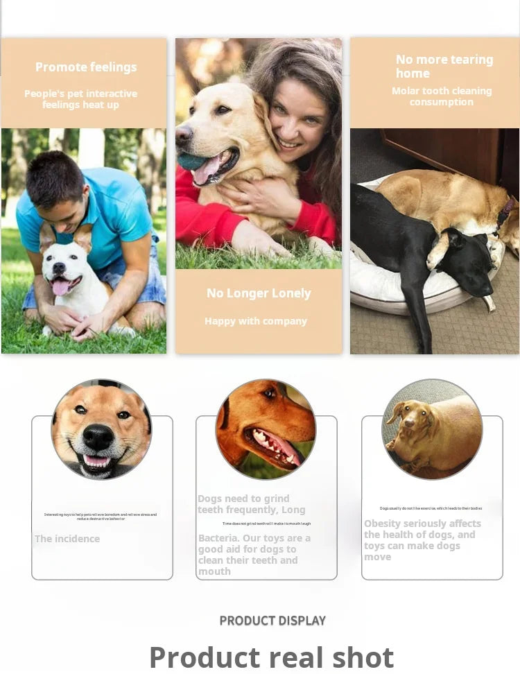 Animals Design Durable Dog Chew Toys Pigs, cows, chickens, Tough Squeaky Dog Grinding Teeth Toys,Pet latex to clean teeth toys