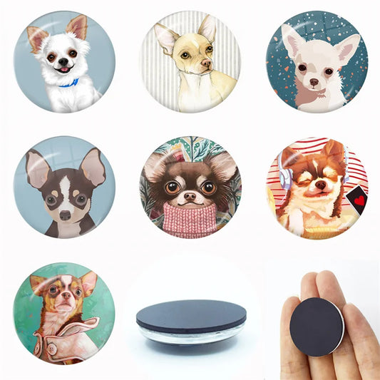 New Chihuahua Magnet Fridge Stickers Decoration Home Refrigerator Decor Glass Dome Crystal Souvenir