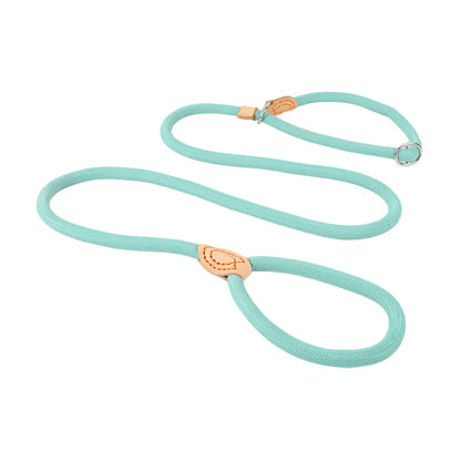 the TRAINMASTER BRAIDED LEAD - 1.5M/1.8M Dog Leash Slip Rope, Lead Leash Heavy Duty Braided Rope, Adjustable Loop Collar Training Leashes for Medium/Large Dogs