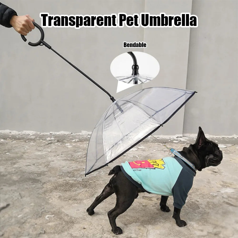 the DRIZZLEDEFENDER PET GEAR - New Transparent Pet Umbrella, Well Made Detachable Adjustable Rainy Day Outdoor Dog Walking Leash for Small Dogs, Pet Supplies