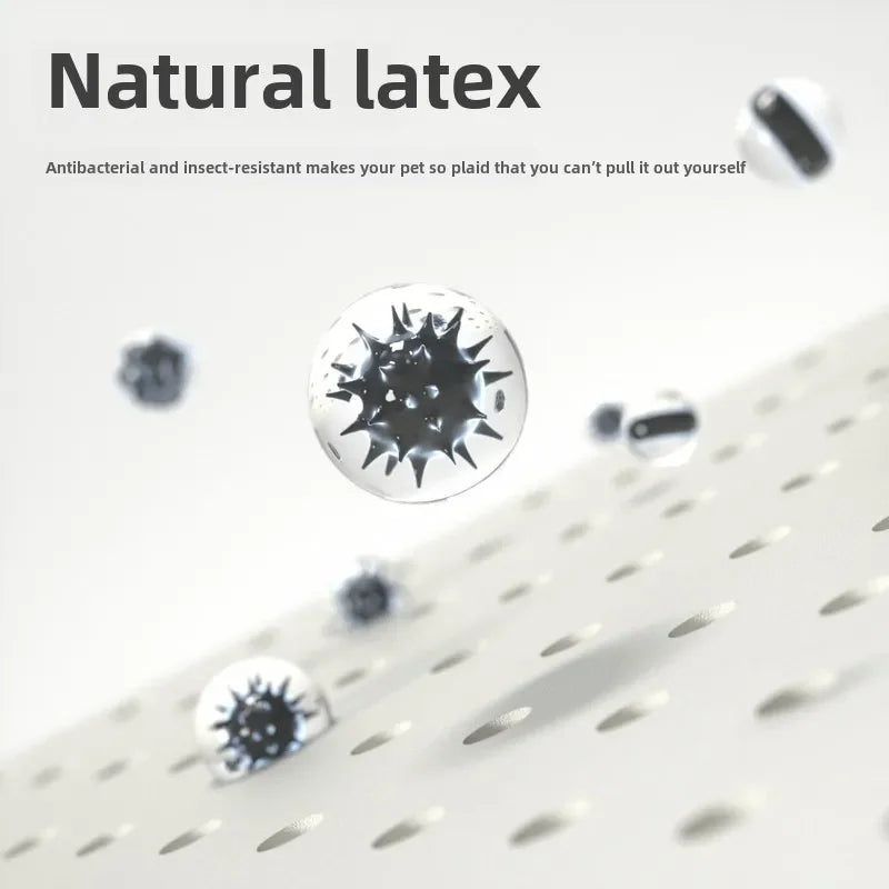 Natural Latex Pet Bed Winter Warm Dog Nest Removable Pet Sleeping Mat Anti-Mite and Antibacterial Cat Bed Soft Foam Pet Mattress