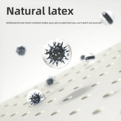 Natural Latex Pet Bed Winter Warm Dog Nest Removable Pet Sleeping Mat Anti-Mite and Antibacterial Cat Bed Soft Foam Pet Mattress
