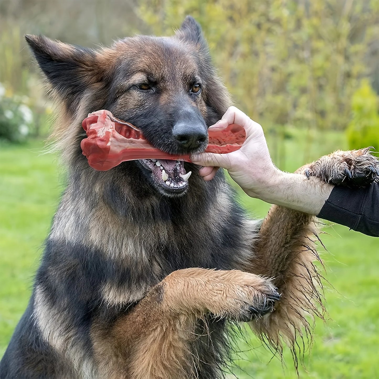 Indestructible Dog Chew Toy for Aggressive Chewers - Durable, Non-Toxic Natural Rubber Bone Shape for Teeth Cleaning
