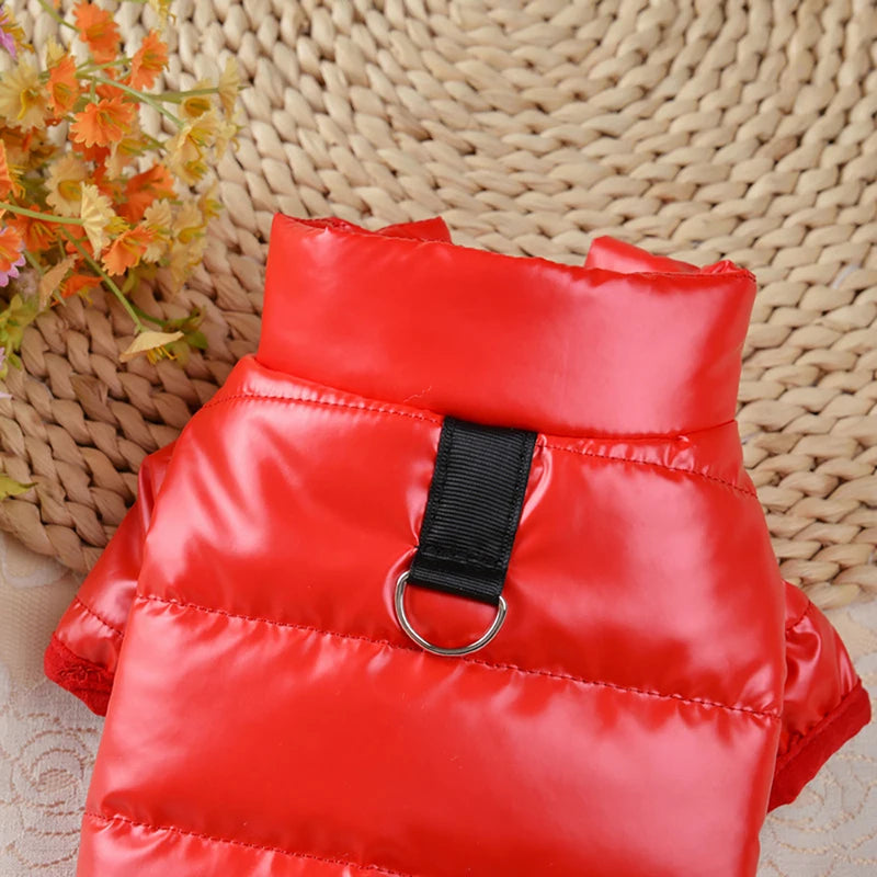 Winter Thicken Puppy Clothes Bright PU Leather Dog Cotton Jacket Waterproof Pet Coat for Small Doggy Costume Chihuahua Outfits