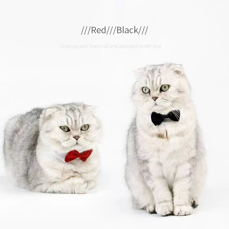 the DAPPER PUP BOW TIE COLLAR - 1PC Pets Puppy/Dogs/Cats Adjustable Bow Tie, Collar Necktie Bowknot, Bowtie Holiday Wedding Decoration, Grooming Accessories