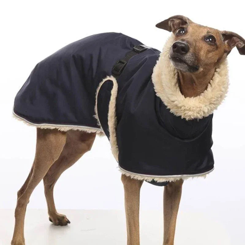 Greyhound Fleece Lined Dog Jacket Winter Warm Dog Clothes Pullover Waterproof Thick Dog Jacket Pet High Collar Jumper Sweater