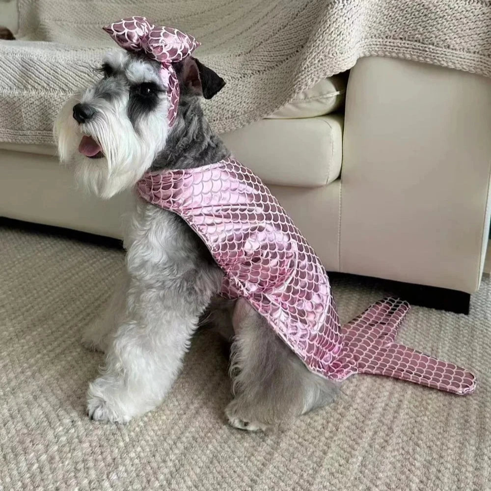 Pet Clothes Halloween Funny Pumpkin  Pirate Transformation Cat Small Dog Transformation Dress Photo Dog Clothes Pet Supplies