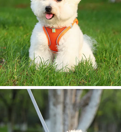 Harness for a Dog Harness Guard Harnesses for Dogs Pet Puppy Big the Small Breed Medium Anatomical Large Breeds Goods Product