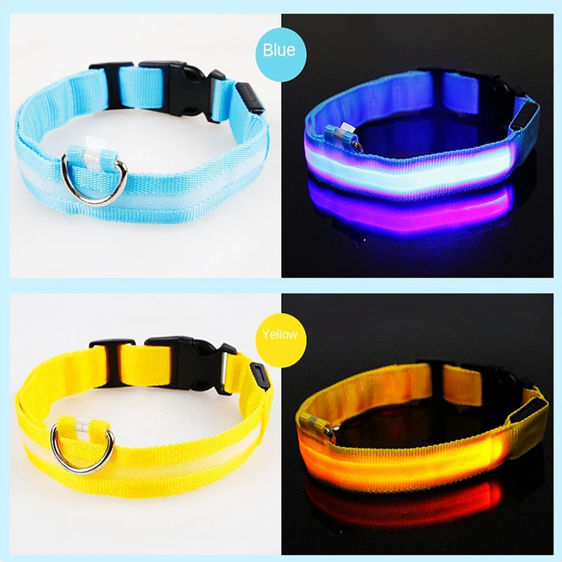 the TRIGLOW SAFETY COLLAR - 3 Modes Dog Luminous Charge Collar, Led USB Cat/Dogs Collars, Detachable Night LED Glow, Dog Loss Prevention Collar, Pet Accessories