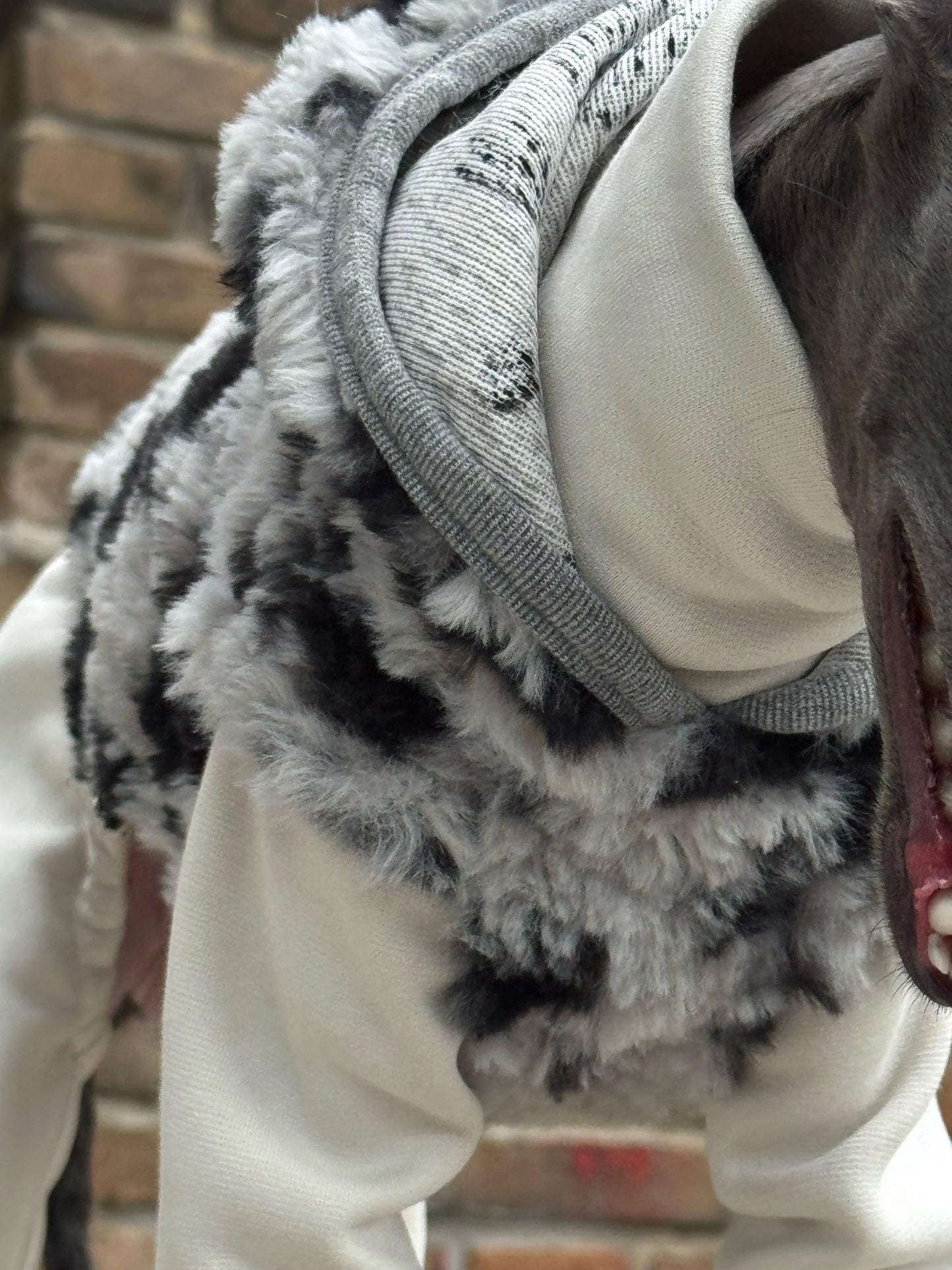 Hooded Leopard Sweater for Dogs in Winter Soft 4-legged False Two Fleece Coat for Greyhounds Warm High-neck Jumpsuit for Whippet