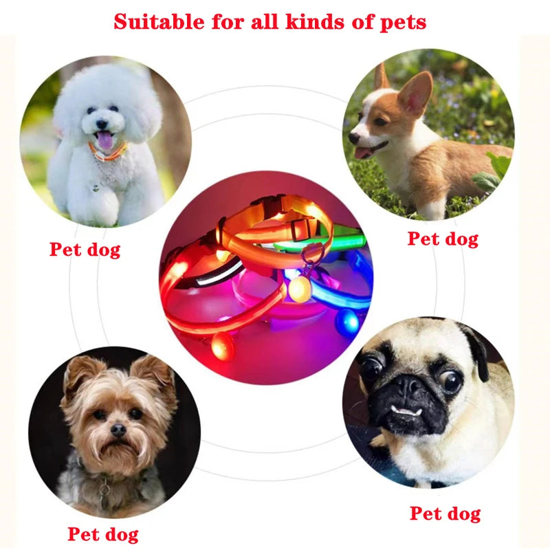 the LUXEGLOW LED SAFTERY COLLAR - USB Charging Glowing Dog Collar with Pendant, Detachable Luxury LED Light, Bright for Small Dogs/Cats, Night Safety Collar