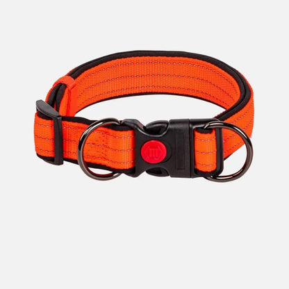 the SAFESTRIDE REFLECTIVE DOG COLLAR - Reflective Padded Dog Collar, Durable Strong Double D Ring, Safety Nylon Pet Dog Collars, Adjustable for Small/Medium/Large Dogs