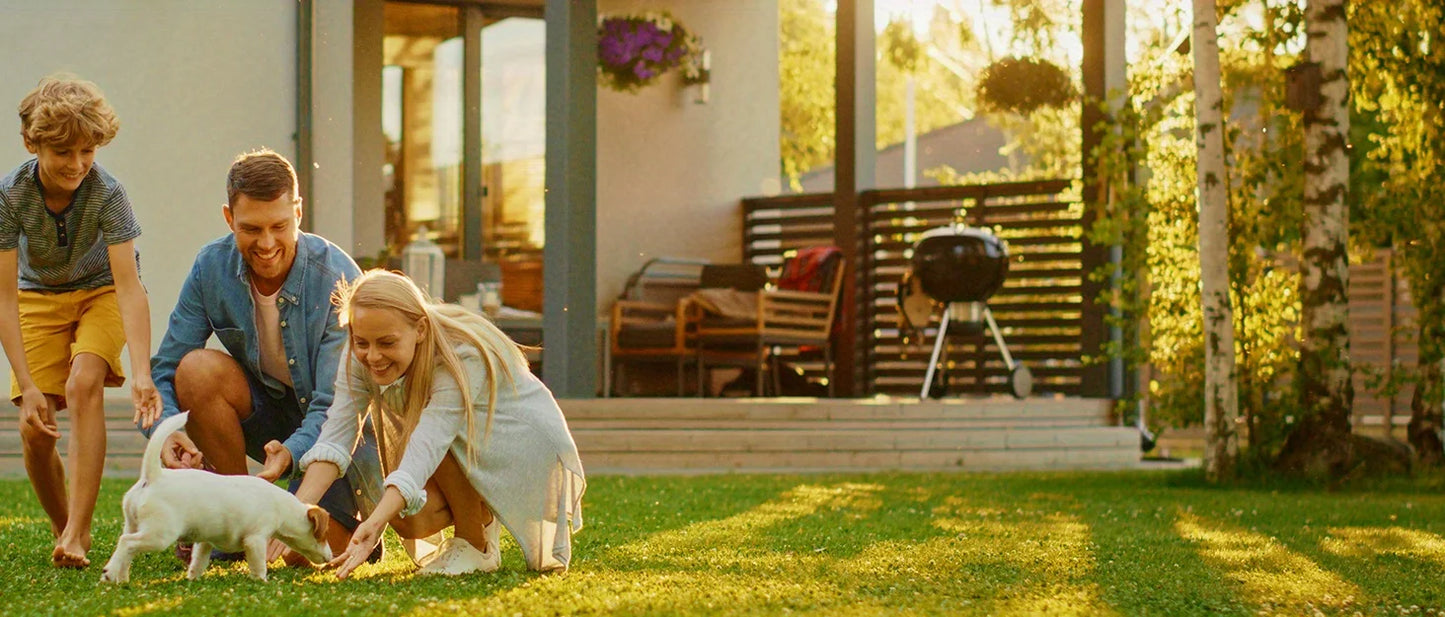 the HAIR REMOVER ROLLER - Pet Hair Remover - Lint Roller for Pet Hair - Cat and Dog Hair Remover for Couch, Furniture, Carpet, Car Seat, Reusable Roller