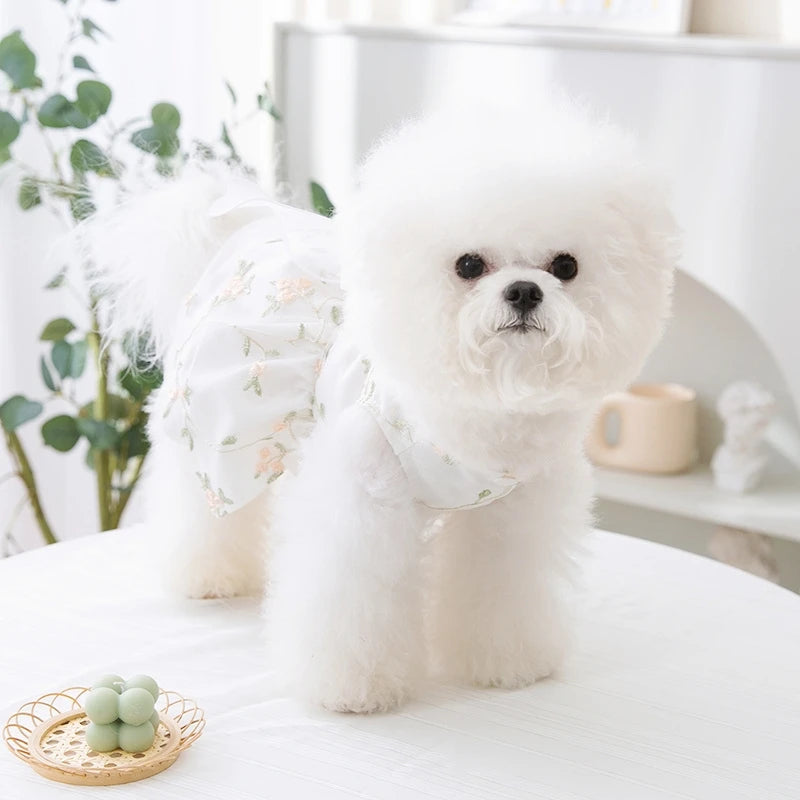 Dog Princess Dress Cute Pet Dog Mesh Dress Kitten Puppy Pet Skirt Dog Summer Dress Bow Lace Korean Poodle Chihuahua Dog Clothes