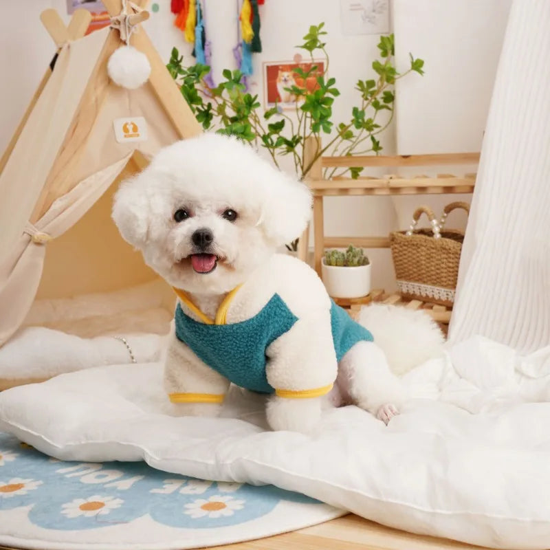 Pet Dog Four Legged Pants Dog Color Contrasting Jumpsuit Autumn and Winter Thick Lamb Fleece Four Leg Puppy Coat Bear Small Dog