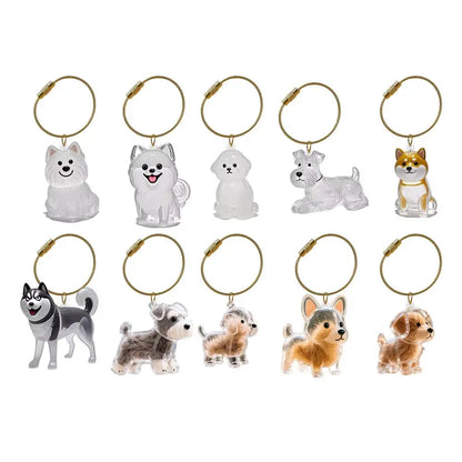 Keychain For Collecting Cat And Dog Hair, Fur Life Pendant For Dogs, DIY Pet Furs Collection Keychain, Pet Fur Keepsake
