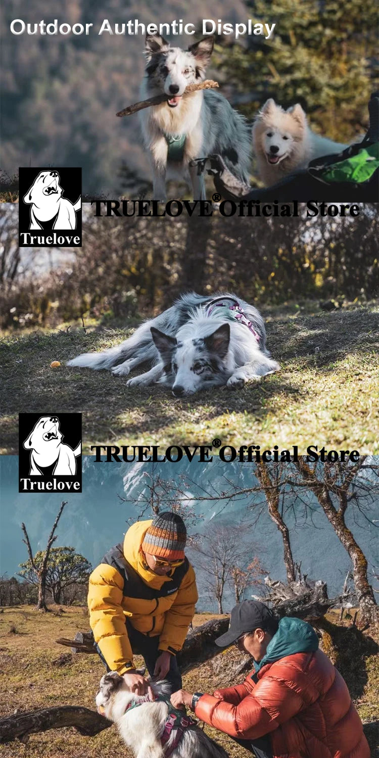 Truelove Escape Proof Pet Harness No Pull Reflective Adjustable Soft Padded Pet Vest Service Dog Harness Handle Climbing TLH7011