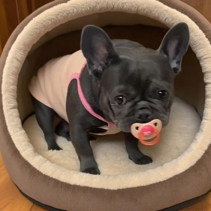 the CALMCHEW PACIFIER - 1PC Pet Silicone Pacifier, Pet Calming Pacifier, Chew Toy, Food Grade Silicone Supplies Dogs, Accessories Pet Products