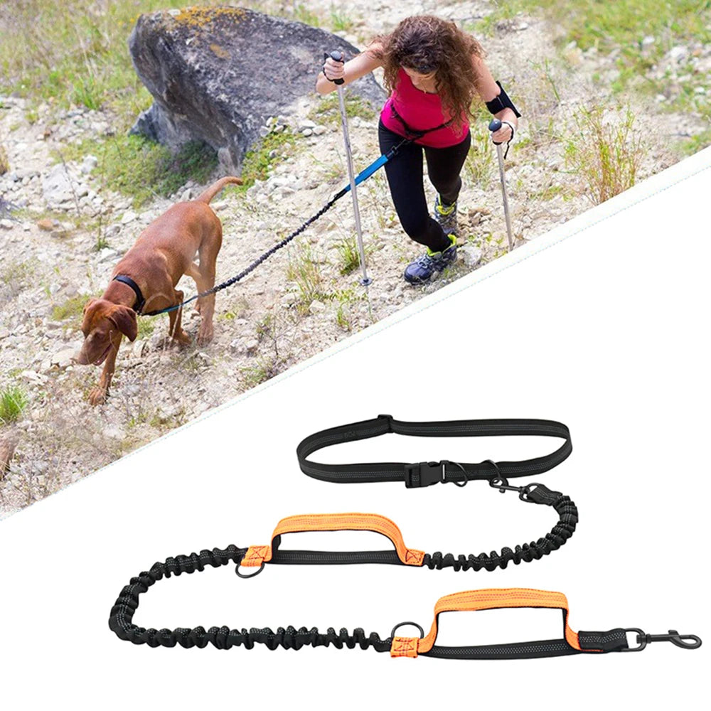 the RUNMATE HANDS-FREE LEASH - Retractable Hands-Free Dog Leash for Running, Double Handles Elastic Cord Reflective Large Dog Leash, Pet Supplies