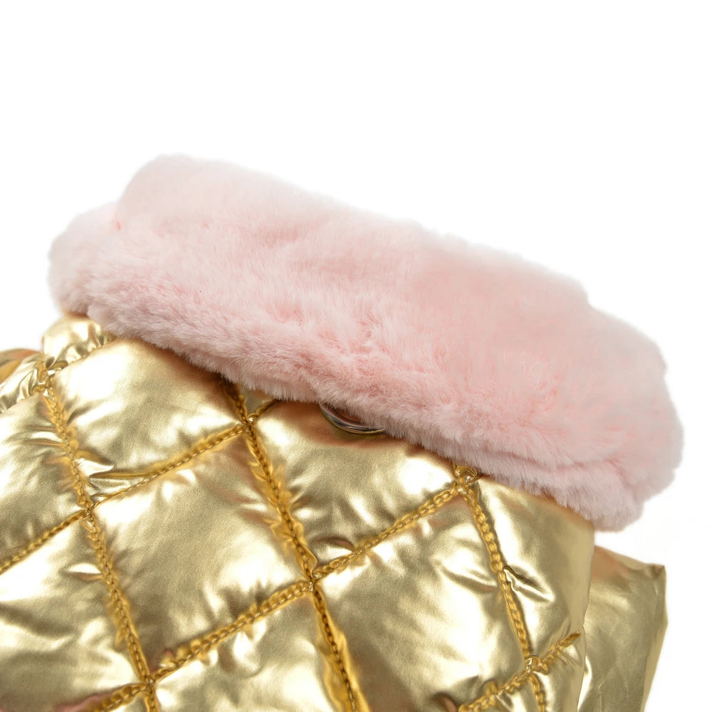 Warm Pet Clothes Waterproof Outdoor Puppy Jumpsuits For Small Medium Dog Winter Windproof With D-ring Vest Coat Chihuahua Outfit