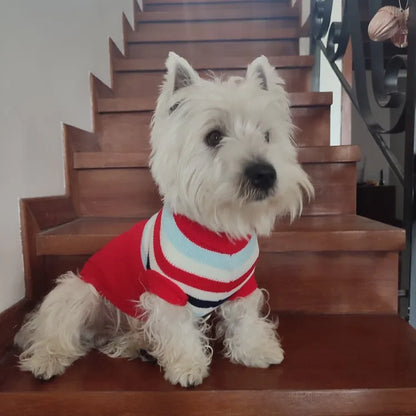 Dogs Sweater Winter Knitted Dog Jumpers For Small Large Dogs Designer Cat Chihuahua Warm Clothes For Small Breeds Dogs Christmas