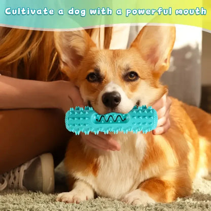 Vet-Approved Dental Chew Stick - 3-in-1 Cooling Toothbrush Toy for Small/Medium Dogs, Summer Teeth Cleaning & Gum Massage