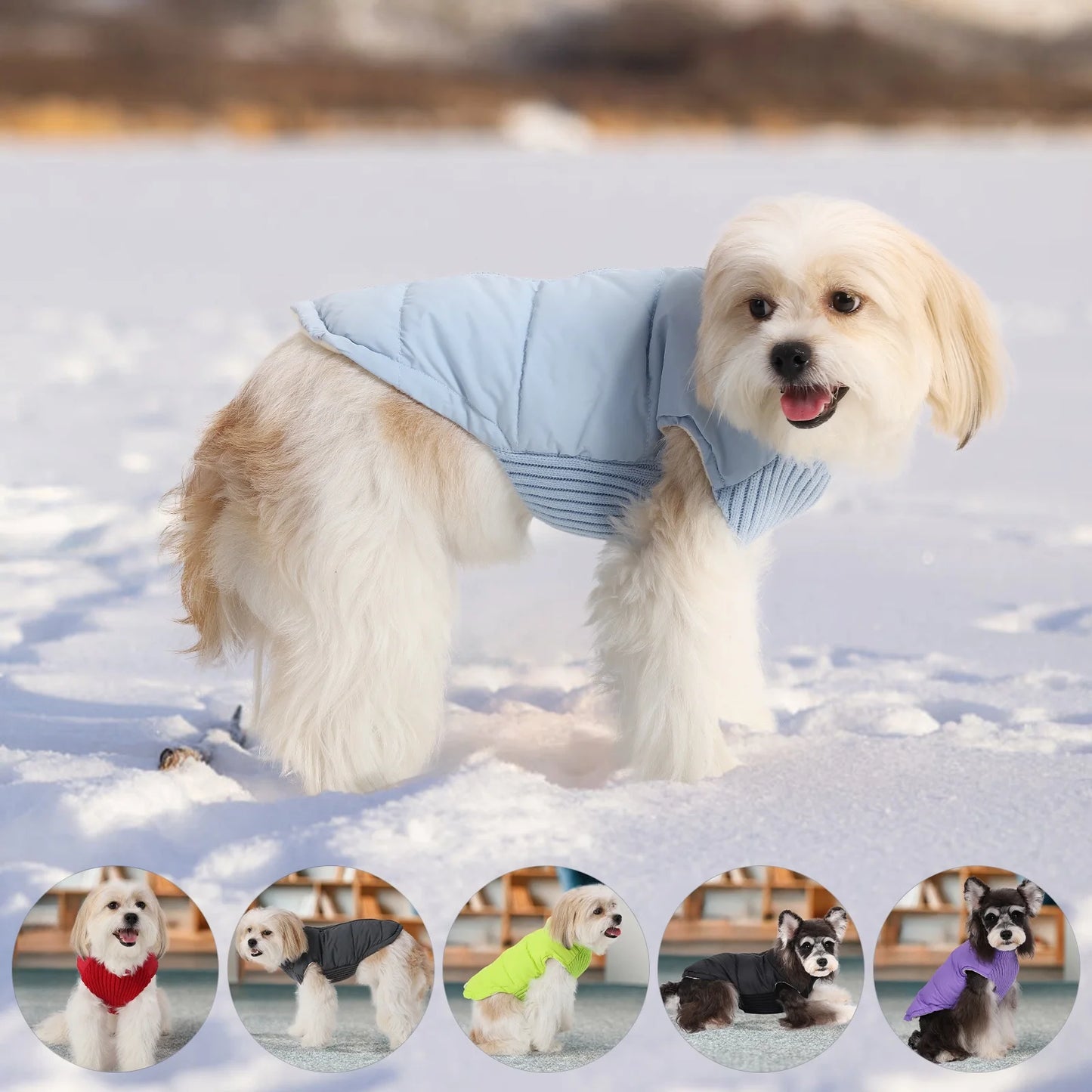 the ARTIC PUP WINDPROOF WINTER COAT - Winter Pet Dog Jacket, Windproof Warm Dogs Clothes for Small/Medium Dogs/Cats, Puppy Down Coat, Chihuahua Shih Tzu Costume, Yorkies