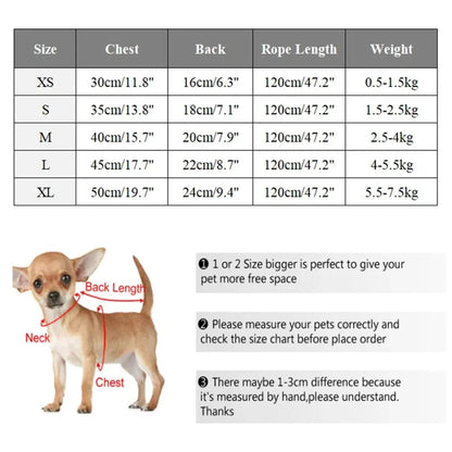 Three-piece Set Pet Cat Dog Chest Harness Traction Rope and Sun Hat Set Spring Summer Breathable Puppy Harness Dog Baseball Cap
