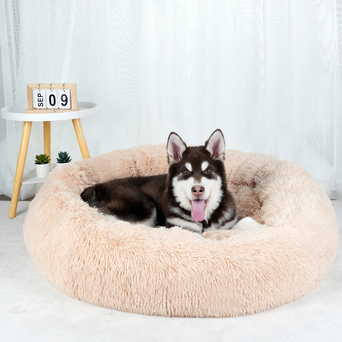 Plush Dog Bed Large Beds for Dogs Washable Medium Small Basket Accessorys Pet Furniture Fluffy Sofa Puppy Kennel Accessories Mat