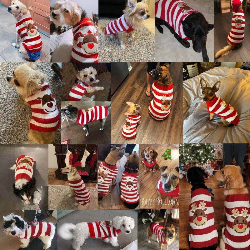 the PAW-LIDAY SWEATER - Christmas Warm Clothes for Dogs, Small/Medium/Large Dog Winter Sweater, Pet Clothing Knitted Coat, Cartoon Striped Big Dog Clothes