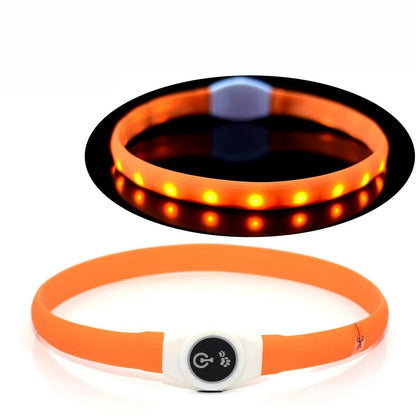 the NIGHTBEAM GLOW COLLAR - New Led Luminous Dog Collar, PVC Waterproof for Large/Medium/Small Dogs, Collar USB Light Night Safety, Pet Glowing Accessories