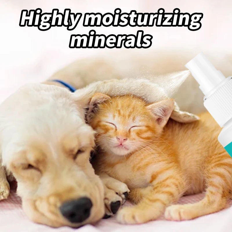 the DEORDORANT SPRAY - Portable Pet Deodorant, Green Tea Fragrance Spray, Bactericidal Deodorant, Non-Pungent Deodorant Dog and Cat Urine Spray