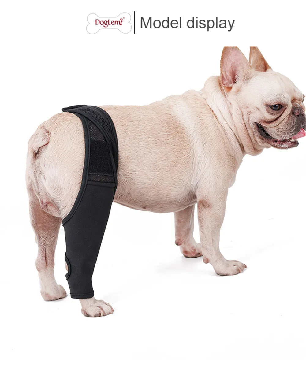 Dog Knee Brace Injury Recovery Fixed Support Brace Pet Leg Pain Relief Joint Wrap Brace For Elderly Disabled Injured Dogs