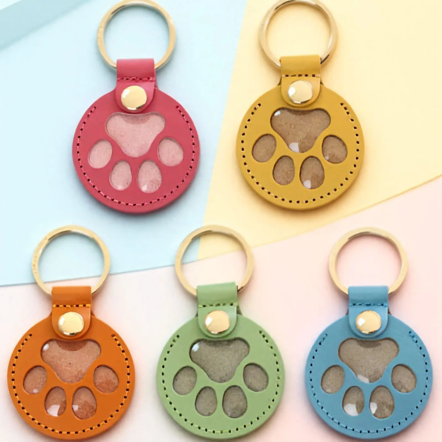 Pet Hair Storage Bag Cat & Dog Hair Memorial Keychain Creative Pet ID Tag