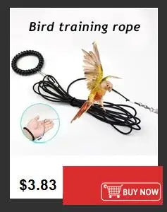 Cartoon Print Dog Diaper Physiological Pant Sanitary Puppy Shorts Underwear Small Medium Dog Cat Pants Female Dog Panties