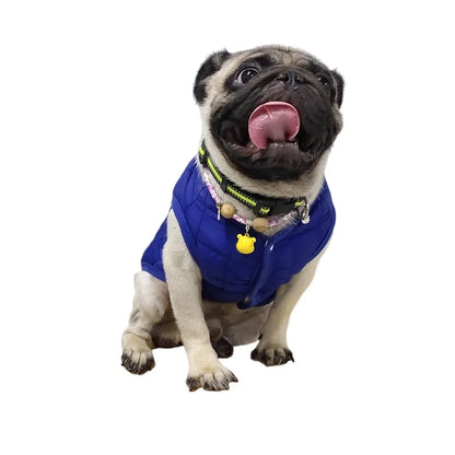 the SOFTPAWS COZY COAT - Winter Pet Cotton Jacket, Warm Dog Clothes, Puppy Coat for Small/Medium Dogs/Cats Outfit, Chihuahua, French Bulldog, Maltese Clothing