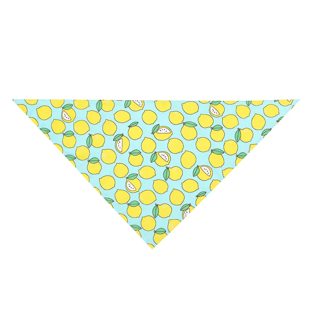 Sucado Dog Bandana Fruit Floral Spring Washable Soft Doggy Scarf Kerchief Summer Adjustable for Small Medium Large Dogs Pets