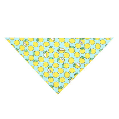 Sucado Dog Bandana Fruit Floral Spring Washable Soft Doggy Scarf Kerchief Summer Adjustable for Small Medium Large Dogs Pets
