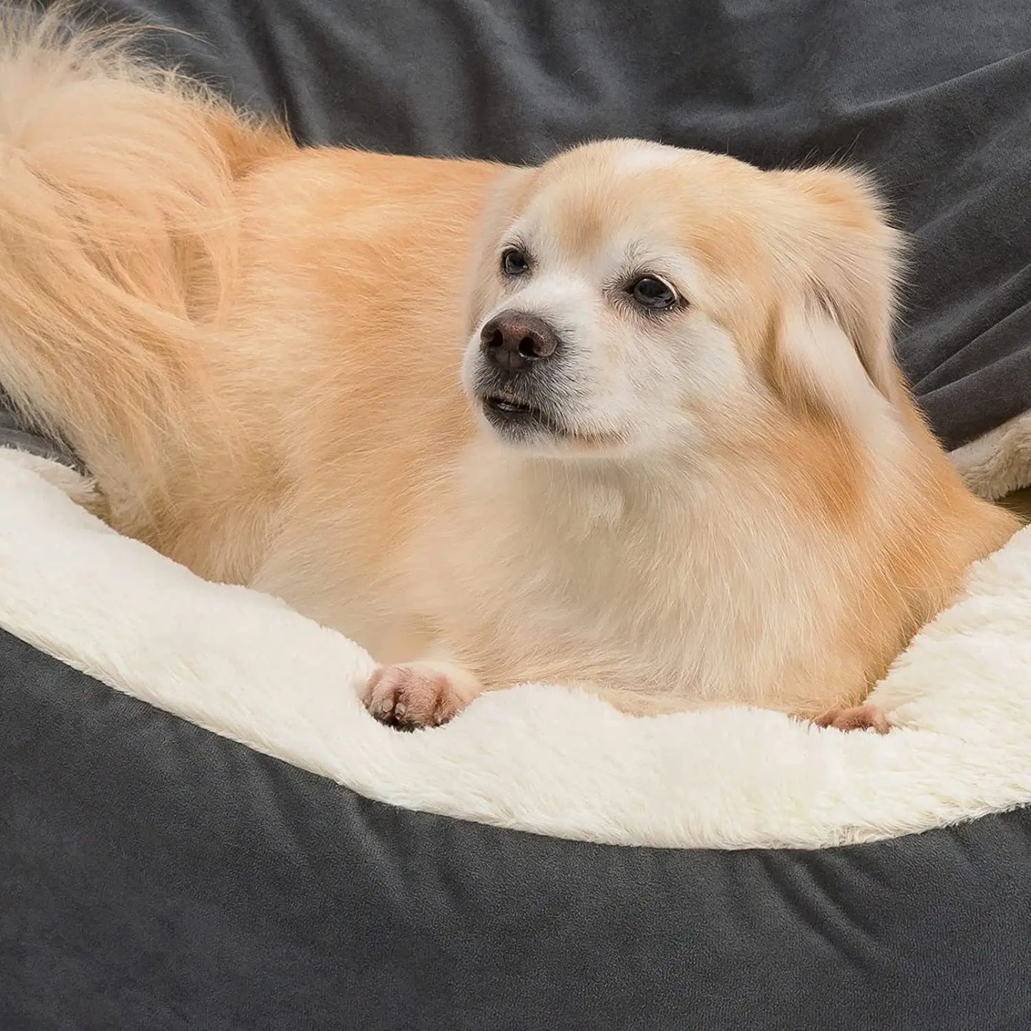 Semi-closed Dog Kennel Pet Sleeping Pad Kitten Puppy Winter Warm Nest Litter Mat Plush Dirty Resistant Pet Bed Kennel