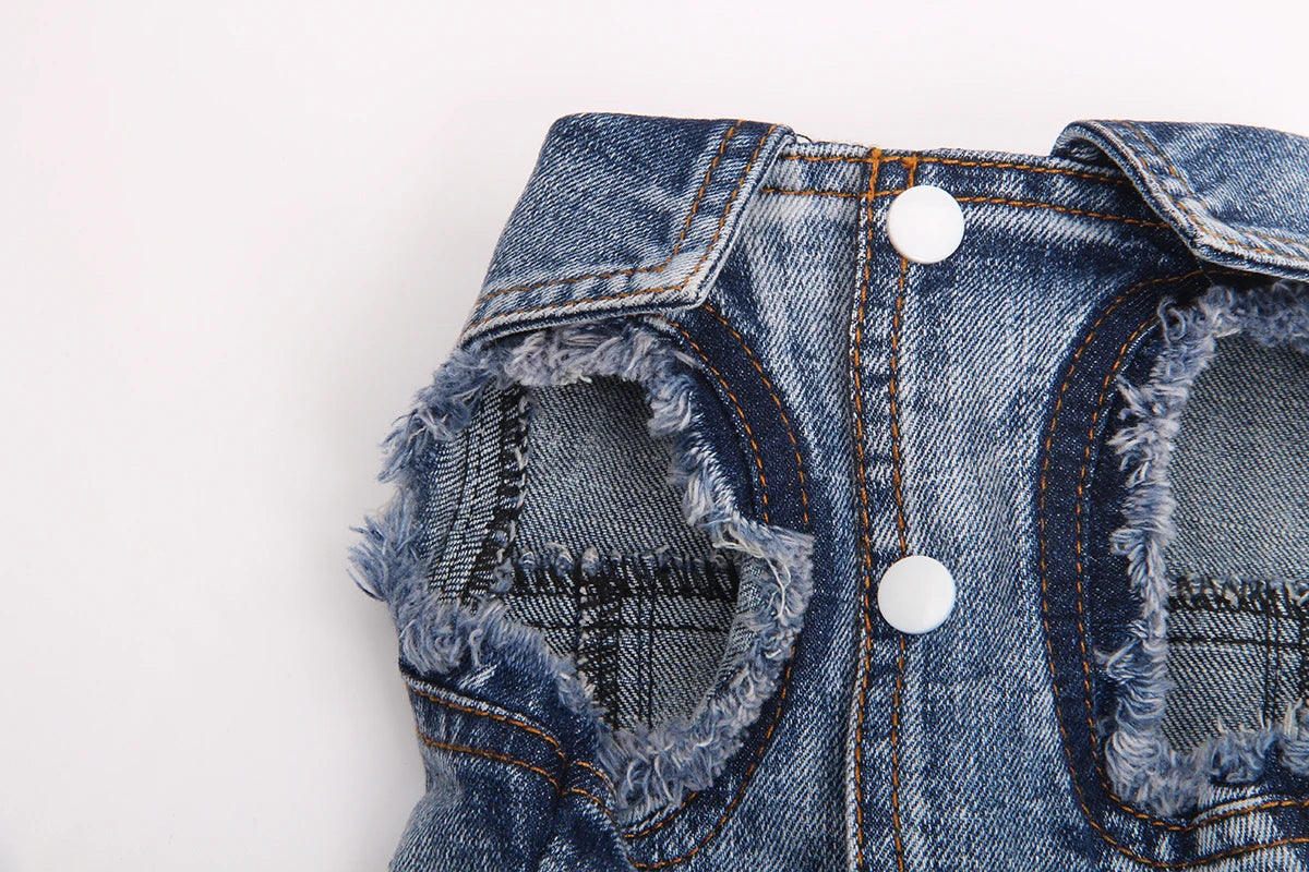 Dogs and Cats Jeans Coat Jacket Towable Denim Vest Cat Puppy Spring/Autumn Clothes Apparel