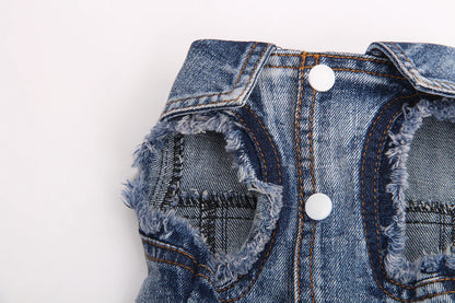 Dogs and Cats Jeans Coat Jacket Towable Denim Vest Cat Puppy Spring/Autumn Clothes Apparel