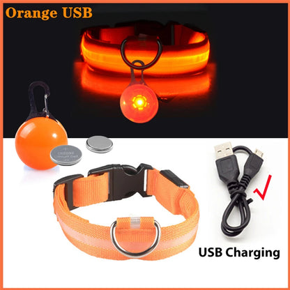 the LUXEGLOW LED SAFTERY COLLAR - USB Charging Glowing Dog Collar with Pendant, Detachable Luxury LED Light, Bright for Small Dogs/Cats, Night Safety Collar
