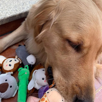 the GO BANANAS CHEW TOYS - 10 PACK SET - Pet Dog Toys, Plush Chew Toy, Soft Banana Bone Vegetable Fruit Squeaky Puppy Training Interactive Toy, Bite-Resistant, Pet Supplies