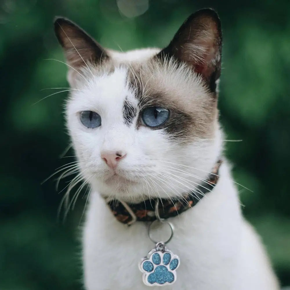 Cat Dog Paw Print Dog Cat Tags Personalized Anti-Lost Pet Glitter Pendant Exquisite with Hook Pet Collar Tag Pendant Kitten