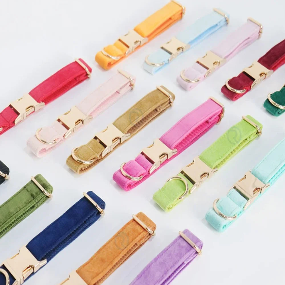 the PAWMARK SIGNATURE ID COLLAR - Custom Engraved Pet Collars, Can Be Engraved with Pet Name, ID and Logo, Suitable for Large/Medium and Small Cats and Dogs