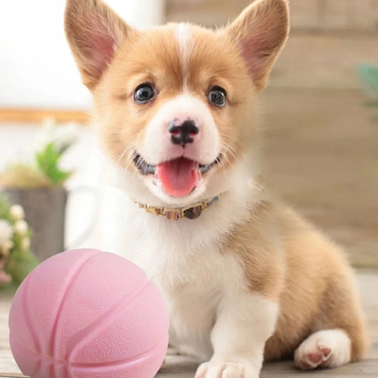 TinyTreat Basketball™ | Squeaky Treat-Dispensing TPR Dog Ball for Teeth Cleaning | Dog Paw Clothing