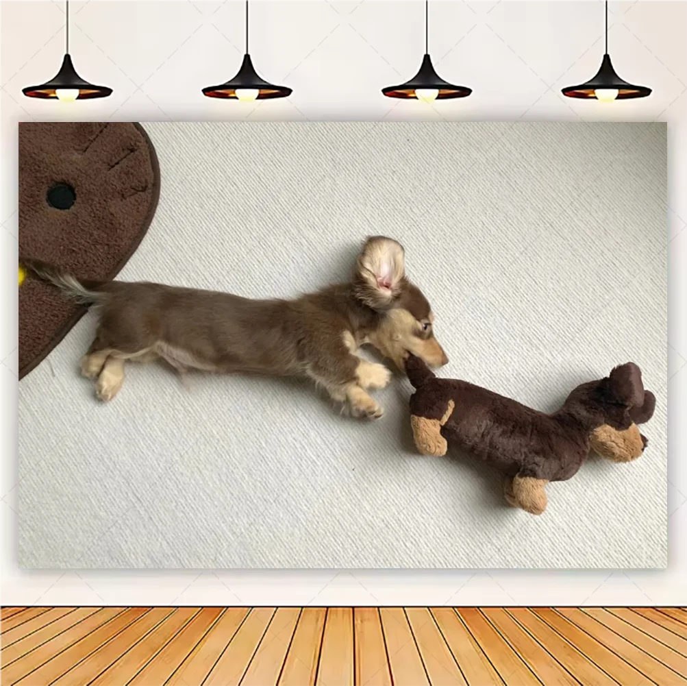 Cute Dachshund Theme Birthday Party Decorations Lovely Puppy Backdrop Cake Insert Banner Balloon Baby Shower Supplies Child Gift