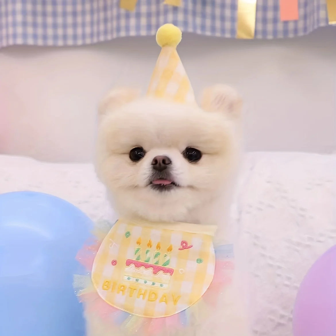 Lovely Pet Dog Birthday Bib, Letter Graphic Dog Saliva Towel, PuppyScarf For Birthday Party Accessories (Set) 2 birthday hats+bi