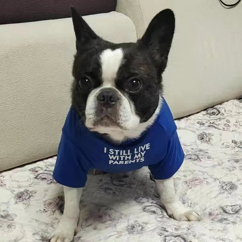 Spring Summer Pet Dog Clothes Round Neck T-shirt for Small Dogs French Bulldog Shiba Inu Puppy Pullovers Letter Print Vest